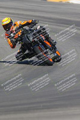 media/Sep-25-2023-Moto Forza (Mon) [[81ffa65e0a]]/A Group/Session 2 (Turns 9 and 10)/